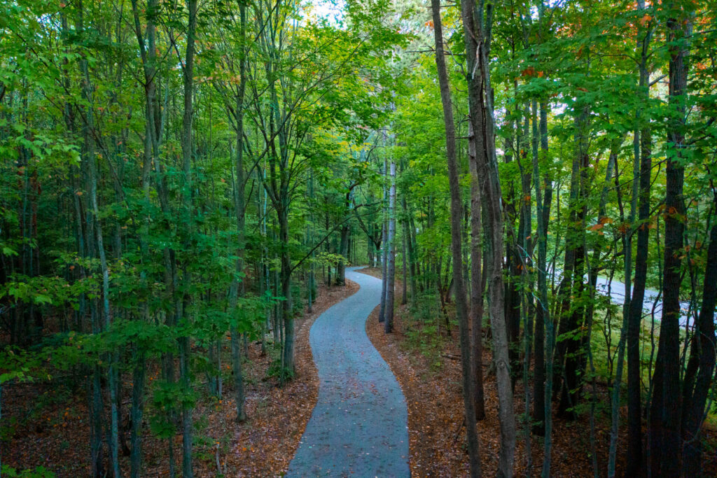 Curved paved path through forest